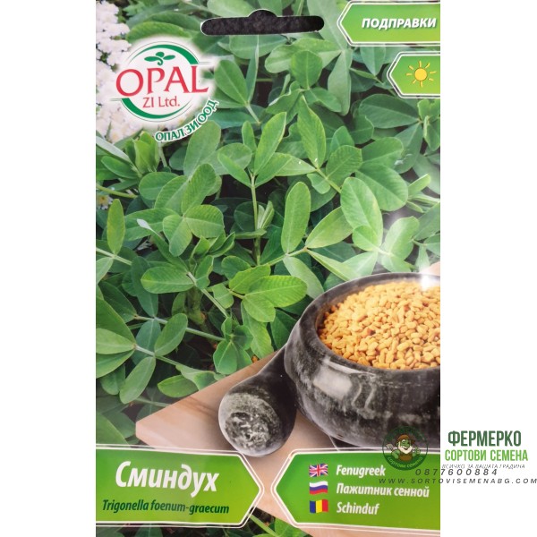 Сминдух Trigonella foenum-graecum