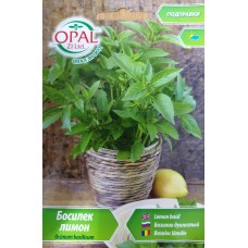 Босилек лимон