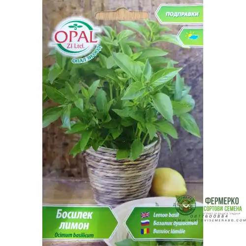 Босилек лимон