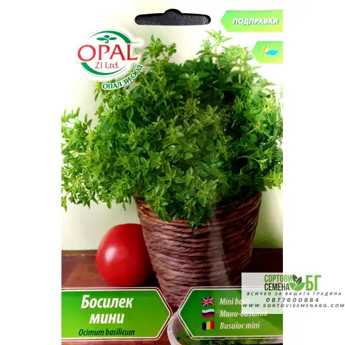 Босилек мини Босилек мини