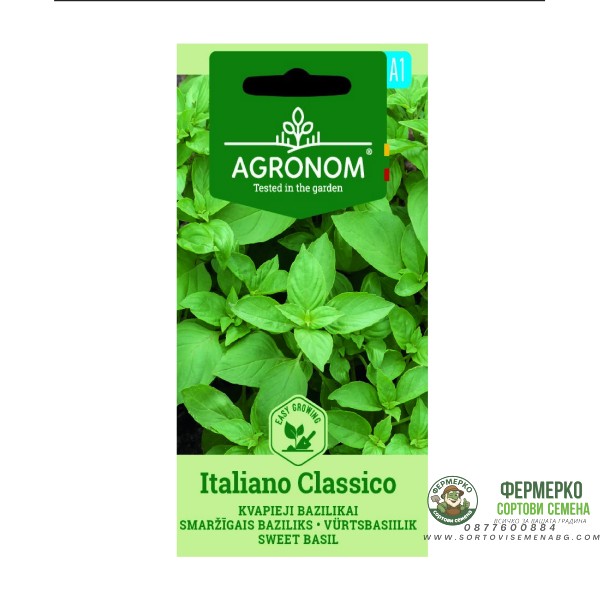 Босилек Класически Италиански Ocimum basilicum