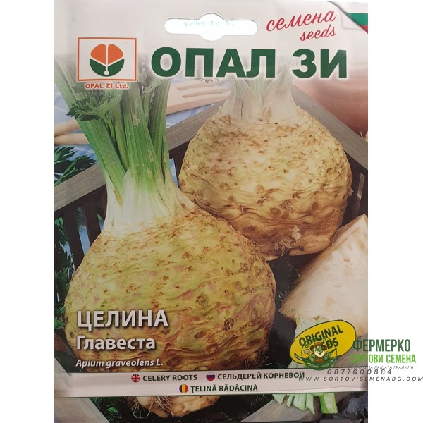 Целина главеста