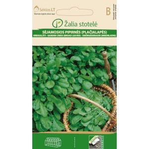 Крес Градински / Garden Gress