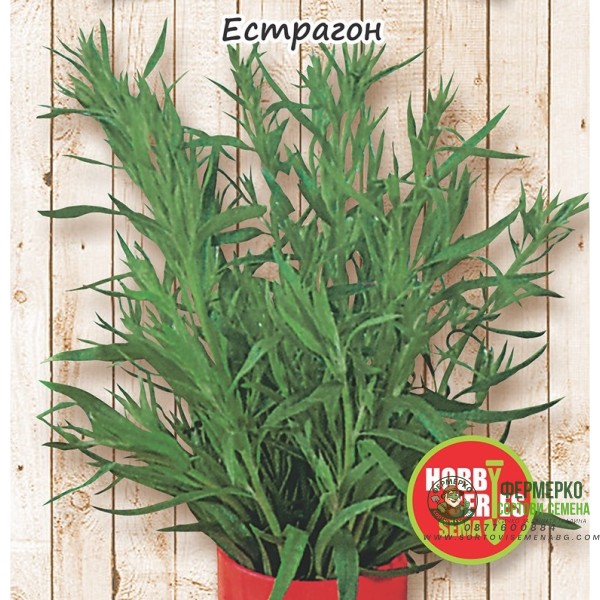 Естрагон Artemisia dracunculus