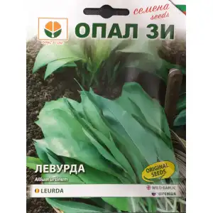 Левурда - Див лук