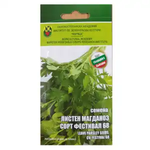 Магданоз сорт Фестивал ИЗК Марица