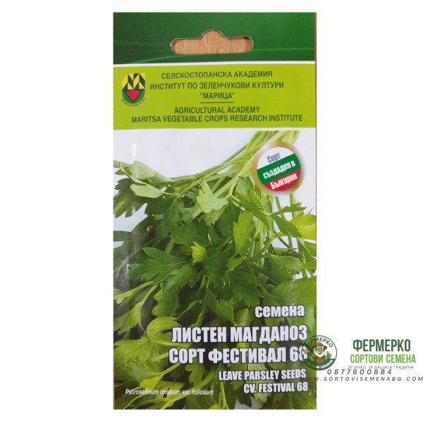 Магданоз сорт Фестивал ИЗК Марица