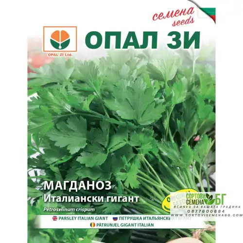 Магданоз Италиански гигант