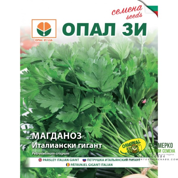 Магданоз Италиански гигант