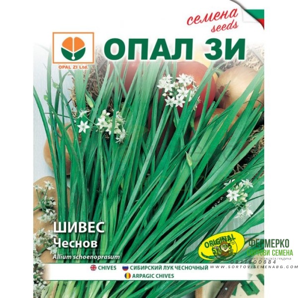 Шивес чеснов