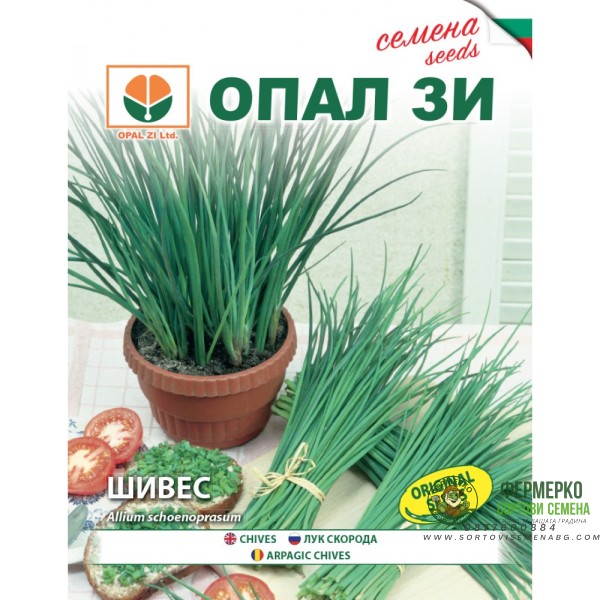 Шивес (Луков)