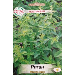 Риган Оriganum vulgare