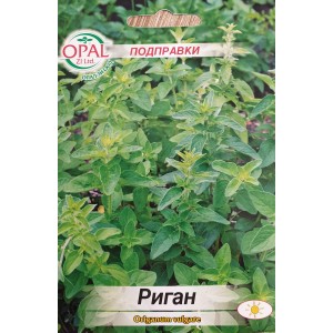 Риган / Оriganum vulgare