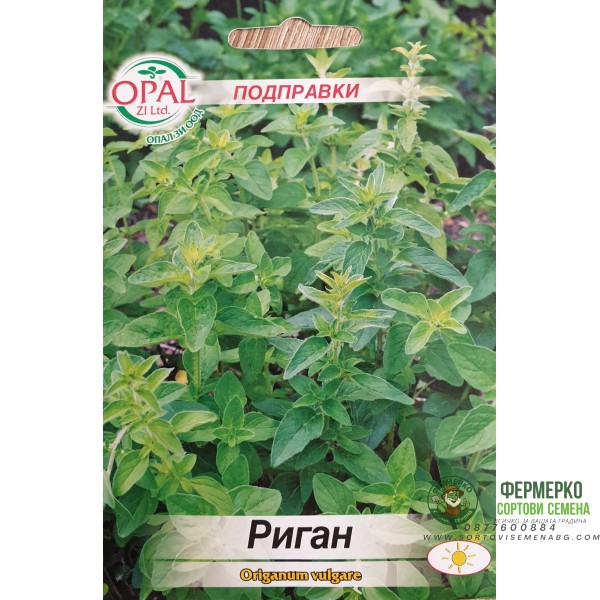 Риган Оriganum vulgare