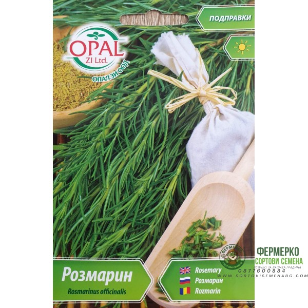 Розмарин Rosmarinus officinalis