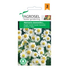 Семена за Лайка Matricaria chamomilla
