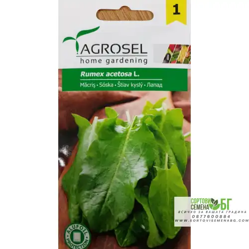 Семена за Лапад Семена за Лапад