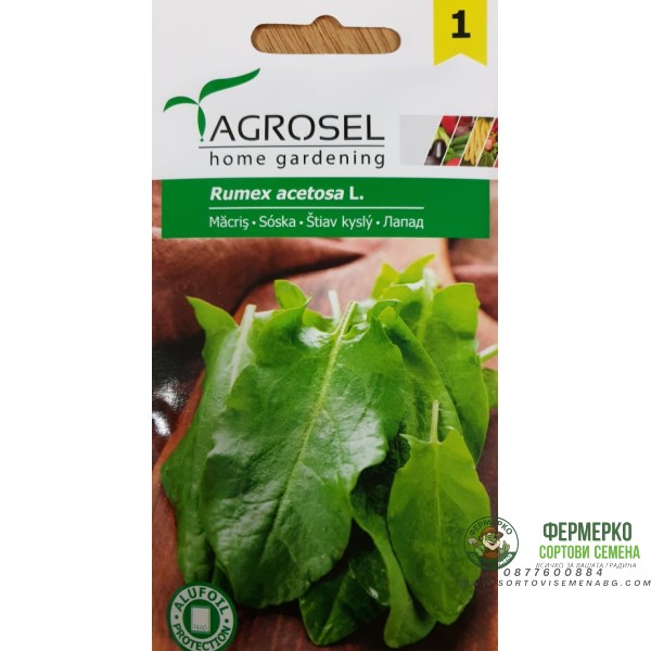 Семена за Лапад