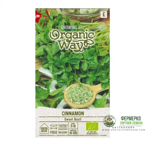 Органик Босилек Канела / Ocimum basilicum