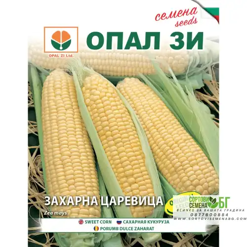 Царевица захарна сорт Голдън батам