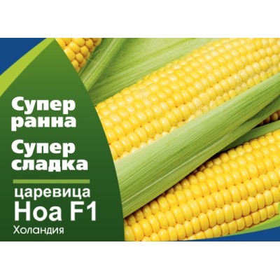 Сладка Царевица Ноа F1 - супер ранна