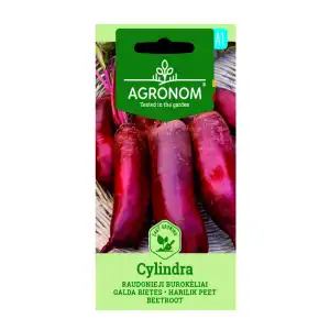 Салатно цвекло Цилиндрично / Cylindra