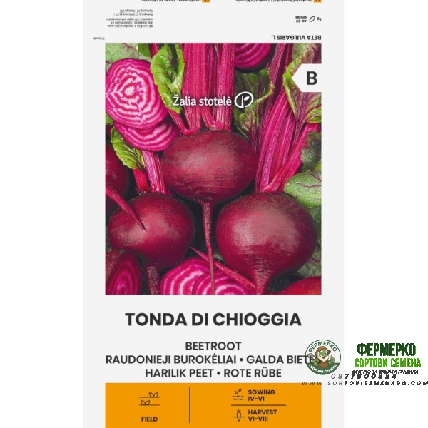 Салатно Цвекло Чиогиа Tonda Di Chiggia