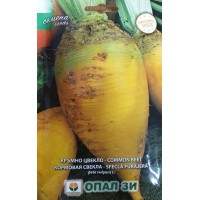 Кръмно цвекло