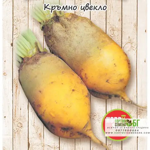 Кръмно цвекло