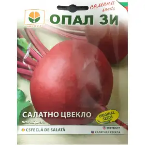 Салатно цвекло Бикорес