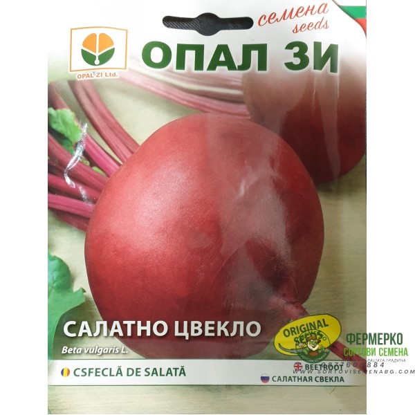 Салатно цвекло Бикорес