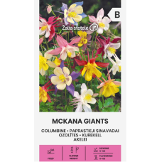 Аквилегия (Кандилка) Aquilegia vulgaris