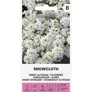 Алисум бял / Lobularia maritima