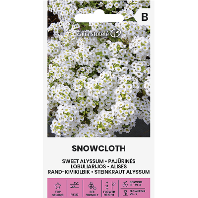 Алисум бял / Lobularia maritima