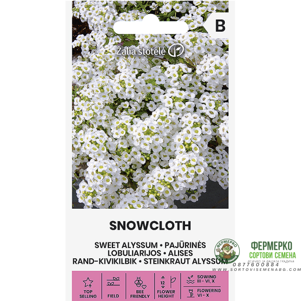 Алисум бял Lobularia maritima