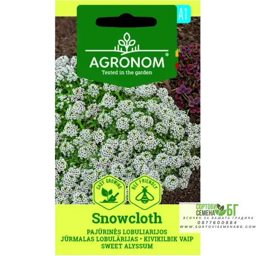 Алисум Бял / Lobuliaria maritima (L.) Desv.