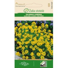 Алисум жълт Alyssum montanum