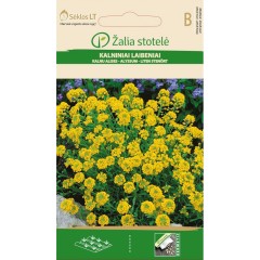 Алисум жълт Alyssum montanum