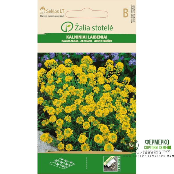 Алисум жълт Alyssum montanum