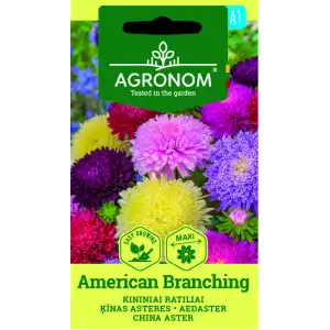 Астри Микс Американ Брънчинг / Callistephus chinensis (L.) Ness American branching
