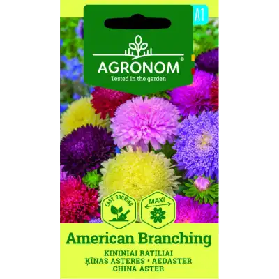 Астри Микс Американ Брънчинг / Callistephus chinensis (L.) Ness American branching
