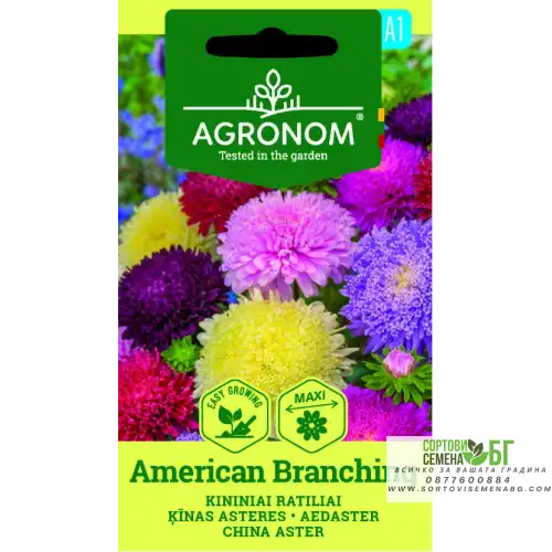 Астри Микс Американ Брънчинг / Callistephus chinensis (L.) Ness American branching Астри Микс Американ Брънчинг / Callistephus chinensis (L.) Ness American branching