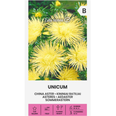 Астри Жълти Игловидни Уникум Callistephus chinensis L Ness Unicum