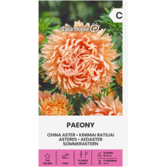 Астри Коралови Паеони Callistephus chinensis L Ness Paeony