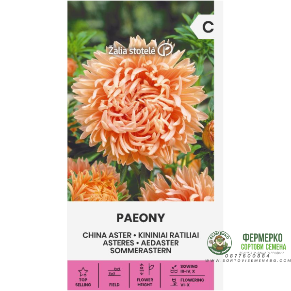 Астри Коралови Паеони Callistephus chinensis L Ness Paeony