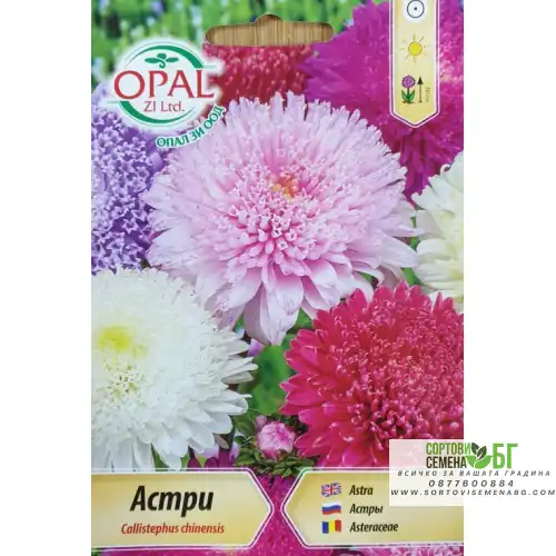 Астри принцеса микс Астри принцеса микс