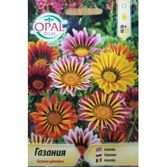 Газания микс