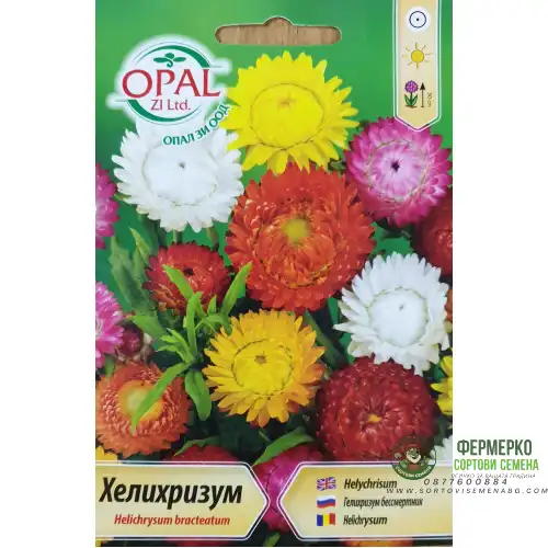 Хелихризум