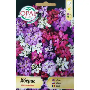 Иберис Микс / Iberis umbellata