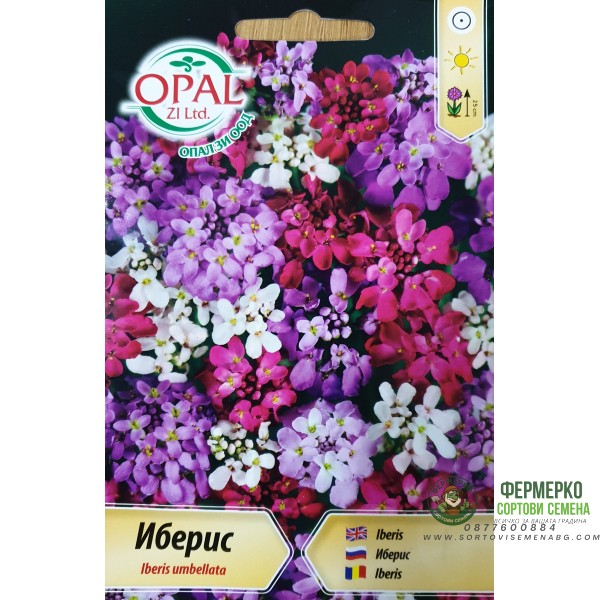 Иберис Микс Iberis umbellata
